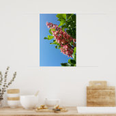 春咲き栗の花 ポスター (キッチン)