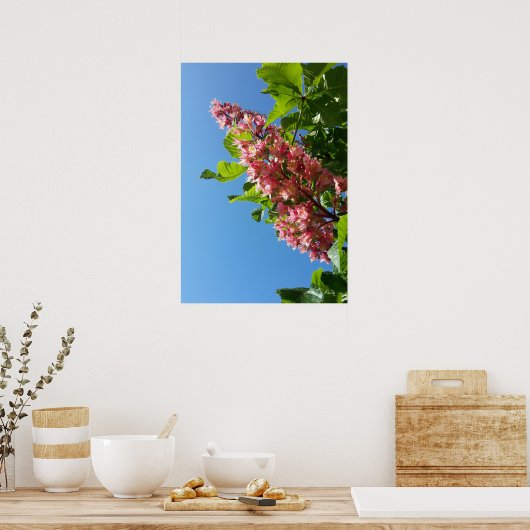 春咲き栗の花 ポスター (キッチン)