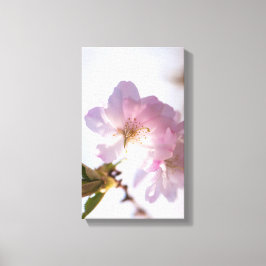 春咲き キャンバスプリント