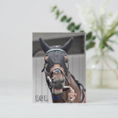 春品質 ポストカード (スタンド正面)