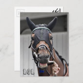 春品質 ポストカード (正面/裏面)