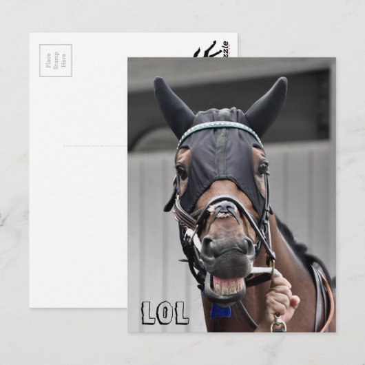 春品質 ポストカード (正面/裏面)