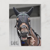 春品質 ポストカード (正面)