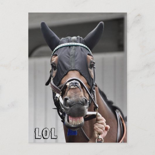 春品質 ポストカード (正面)