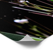 春唇 ポスター (角)