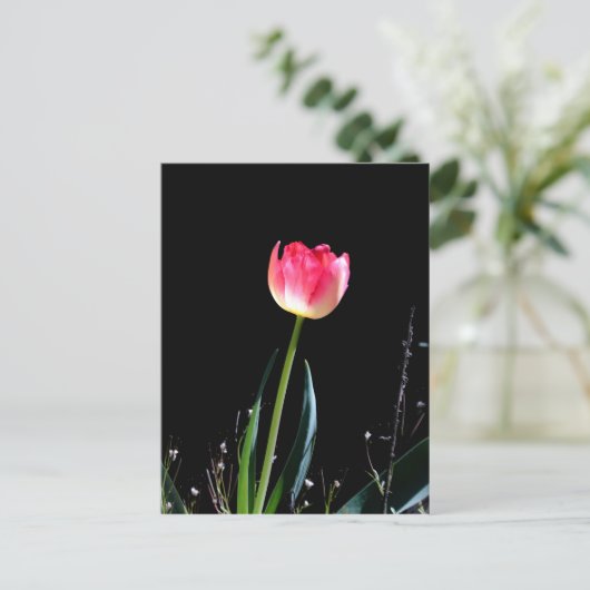 春唇 ポストカード (スタンド正面)