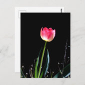 春唇 ポストカード (正面/裏面)