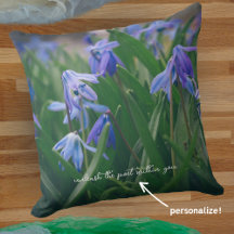 春園の青いシラの花