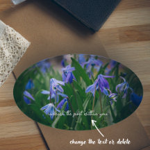 春園の青いシラの花