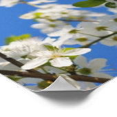 春園 ポスター (角)