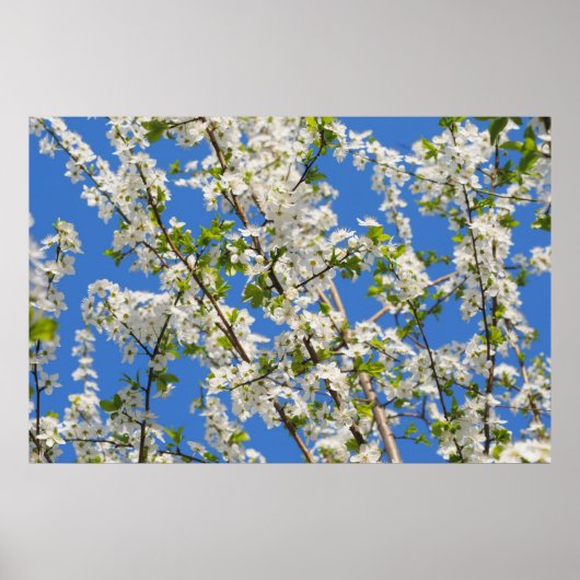 春園 ポスター (正面)