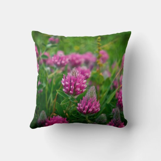 春場 クッション (裏面)