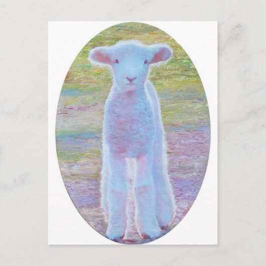 春子羊はがき ポストカード (正面)