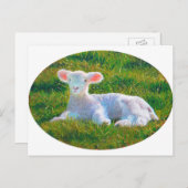 春子羊はがき ポストカード (正面/裏面)