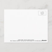 春子羊はがき ポストカード (裏面)