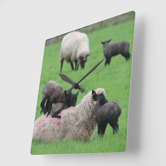 春子羊 スクエア壁時計 (傾斜)