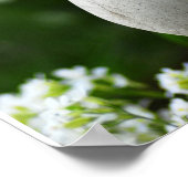 春季禅 ポスター (角)