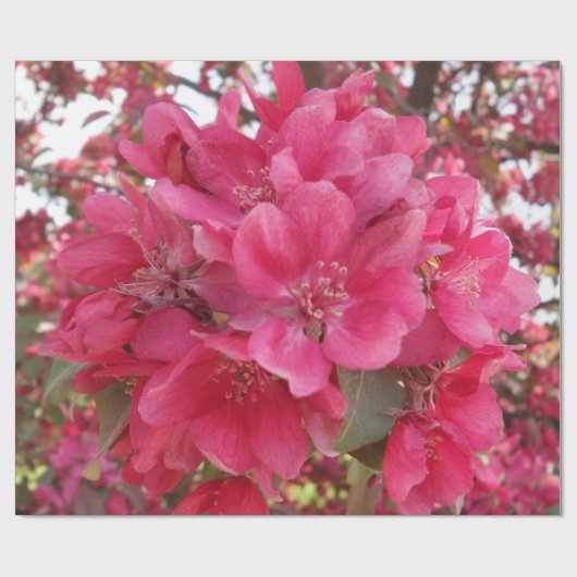 春季花包み紙 ラッピングペーパー (フラット)