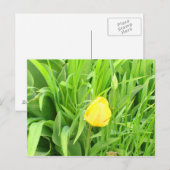 春季5葉書 ポストカード (正面/裏面)