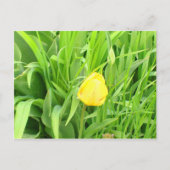 春季5葉書 ポストカード (正面)