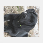 春待ち – ラブラドール子犬 – Black Lab フリースブランケット (正面(横))
