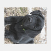 春待ち – ラブラドール子犬 – Black Lab フリースブランケット (正面(横))