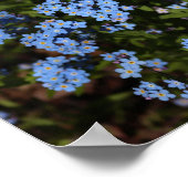 春忘れ – メ – ノッツ、ミシガン州上部半島 ポスター (角)