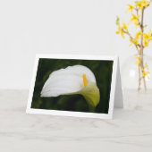 春折り畳み空白のグリーティングカード カード (黄色い花)