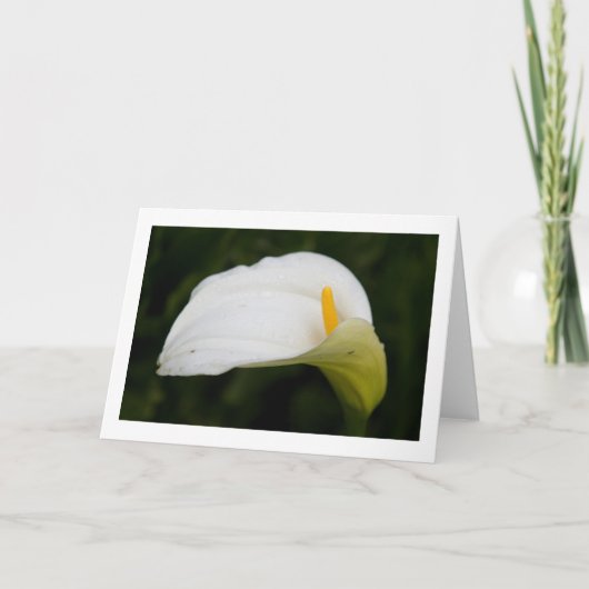 春折り畳み空白のグリーティングカード カード (正面)