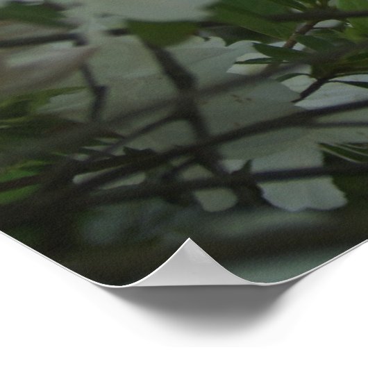 春散歩 ポスター (角)