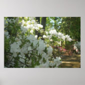 春散歩 ポスター (正面)