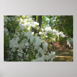 春散歩 ポスター