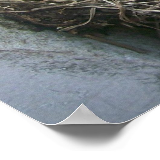 春新着 ポスター (角)