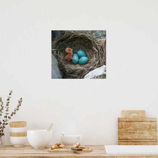 春新着 ポスター (キッチン)