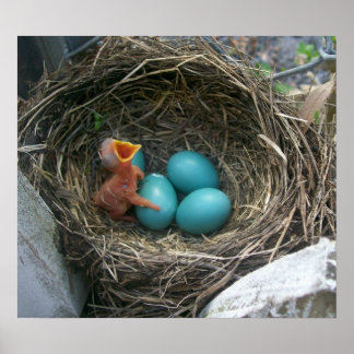 春新着 ポスター