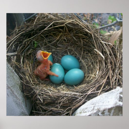 春新着 ポスター (正面)