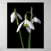 春春永遠 ポスター (正面)