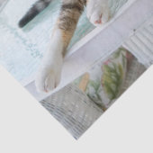 春時猫ティッシュペーパー 薄葉紙 (詳細)