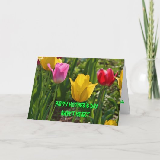 春時間チューリップ カード (正面)