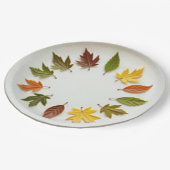 春時 ペーパープレート (アングル)