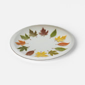 春時 ペーパープレート (アングル)