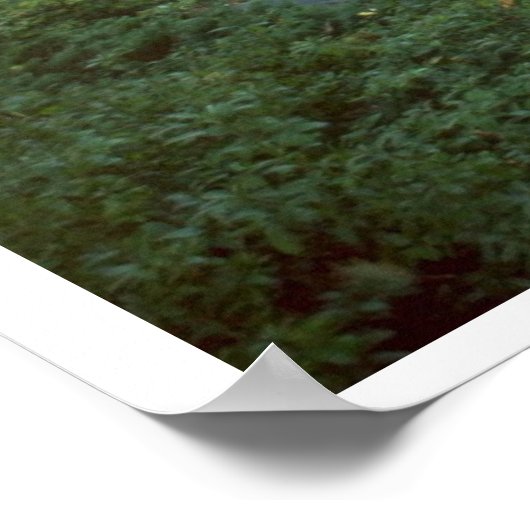 春時 ポスター (角)