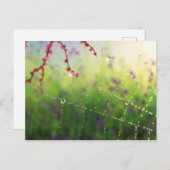 春朝の宝石 ポストカード (正面/裏面)