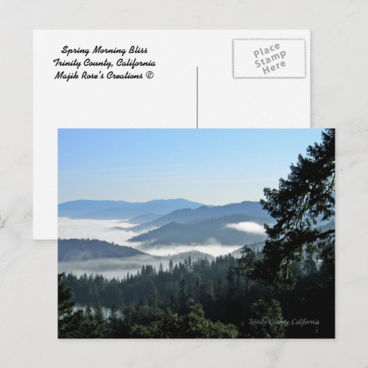 春朝の至福… ポストカード (正面/裏面)