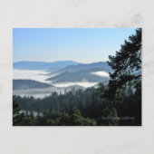 春朝の至福… ポストカード (正面)