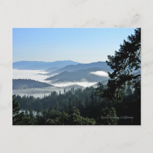 春朝の至福… ポストカード (正面)