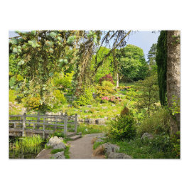 春朝 フォトプリント           