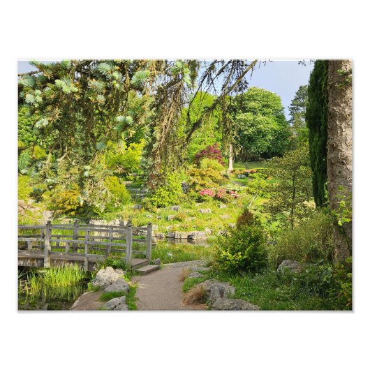 春朝 フォトプリント            (正面)