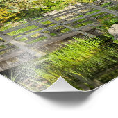 春朝 フォトプリント            (角)