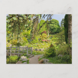 春朝 ポストカード